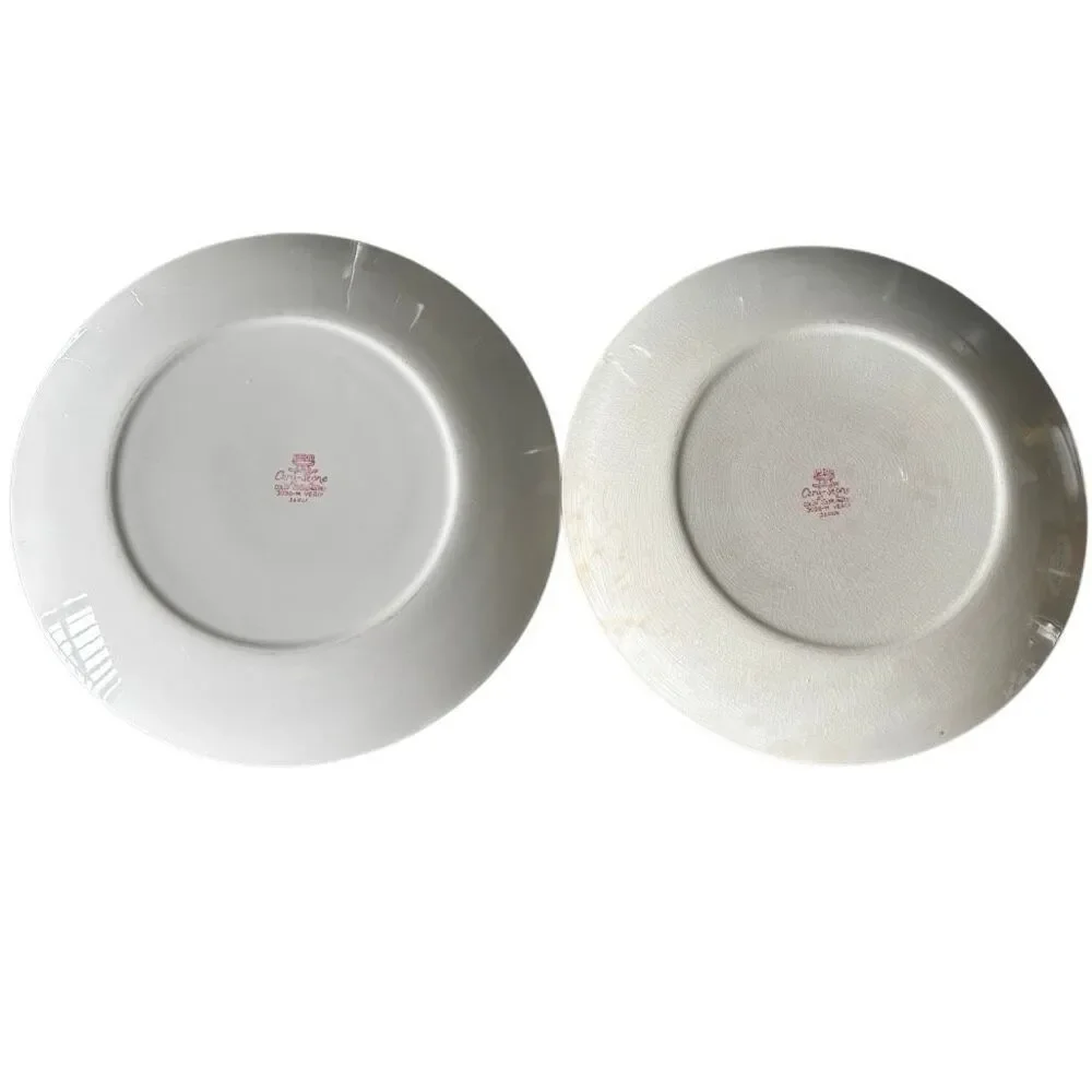 2 Micasa Cera-Stone 3038-M Verde 10 1/4” Dinner Plates Japan *Read*